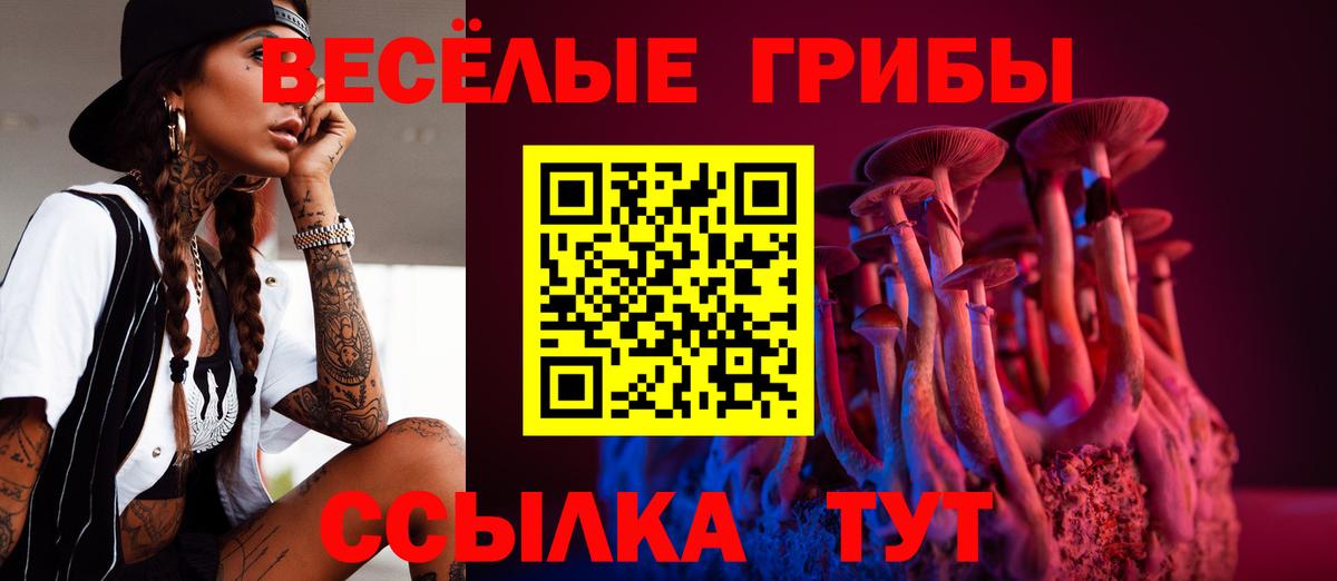 Псилоцибиновые грибы мицелий Астрахань