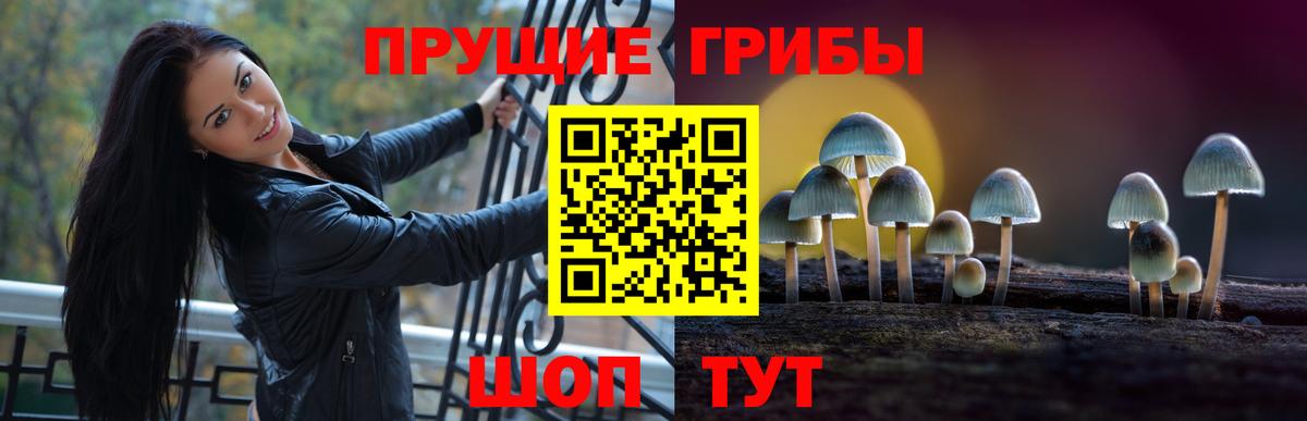 Псилоцибиновые грибы прущие грибы  Вход с VPN  дарнет шоп  Астрахань  Псилоцибиновые грибы мухоморы 